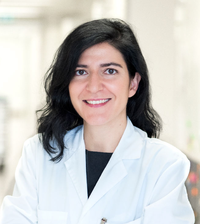 Ana Guerreiro Stücklin